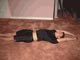 Full Situp (Roll Up) - Pilates Exercise