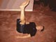 Open Leg Rollover - Pilates Exercise