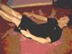 Arm Flutter (with legs raised) - Pilates Exercise