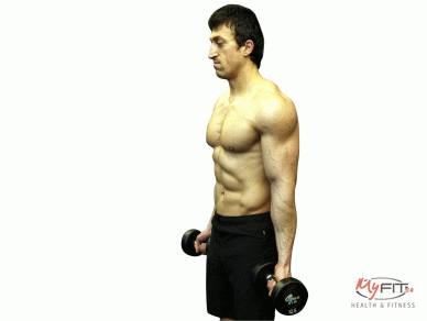 21s Biceps Brachii Starting Position