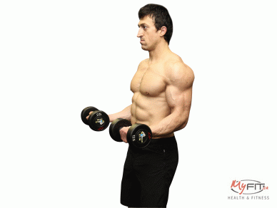 21s Biceps Brachii End Position