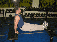 benchdips.gif