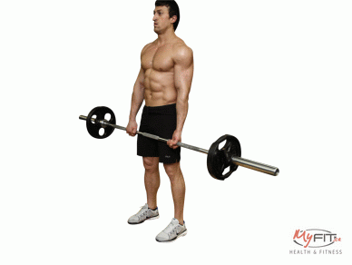 DeadLift Thigh End Position