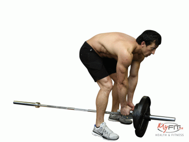 t bar rows
