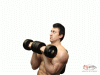 Arnold Press