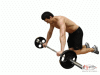 Abdominal Barbell Rollouts