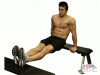 Bench Dips
