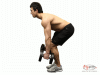 Dumbbell Bent Over Row