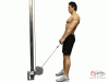 Cable Bent-Leg Deadlift