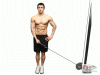 Side Raises