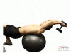 Exercise Ball Dumbbell Chest Pullovers