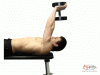 Dumbbell Pullovers