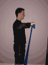 Rotator Cuff (Elastic Band)
