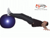 Exercise Ball Hamstring Curls