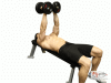 Dumbbell Flys