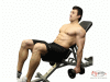 Incline Front Raises