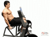 Leg Extension