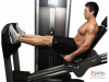 Leg Press