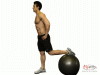 Split Lunge on the Ball