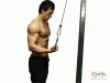 One Arm Reverse Pulldowns