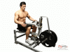 Seated Calf Raises