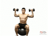 Dumbbell Press or Shoulder Press