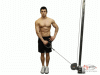 Shoulder / Deltoid Extensions