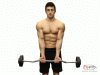 Standing E-Z Curl Bar | Standing Barbell Curl
